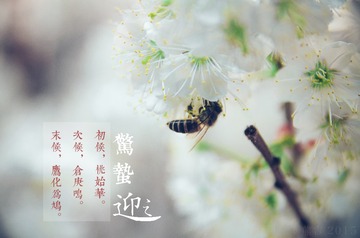 惊蛰8