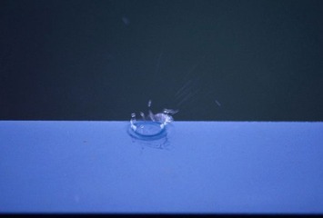 雨滴
