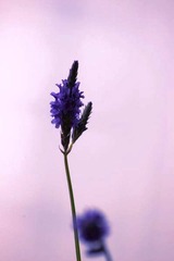 “抱抱”