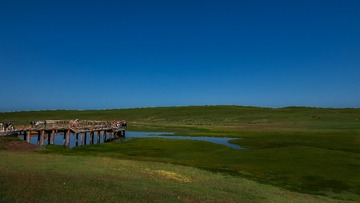 L1050048-1