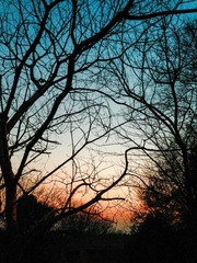 IMG_7381_2000
