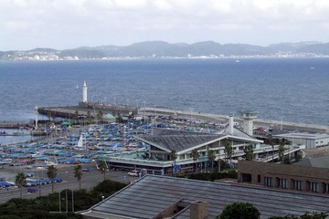 DSCF8351_resize.jpg