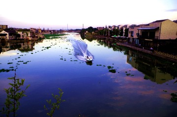 IMGP1161_