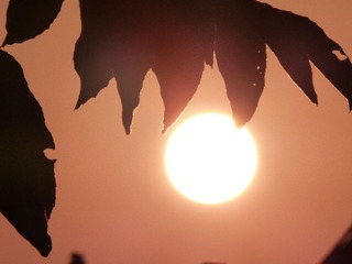 P1150955