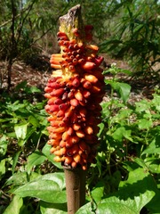 P1140833