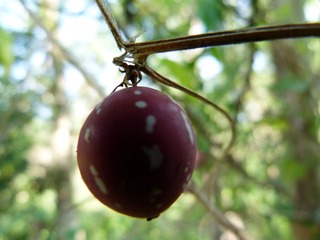 P1140840