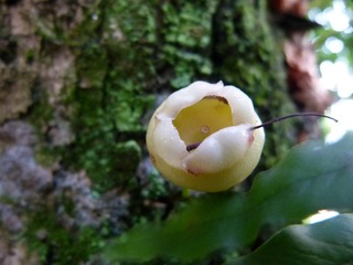 P1130395