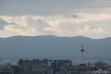 _DSC3940
