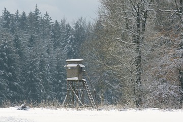 _DSC3910