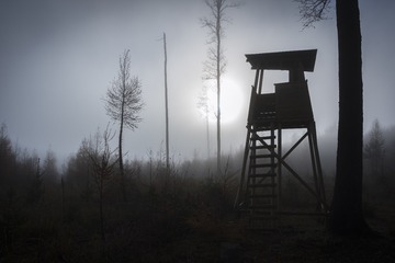 _DSC3978