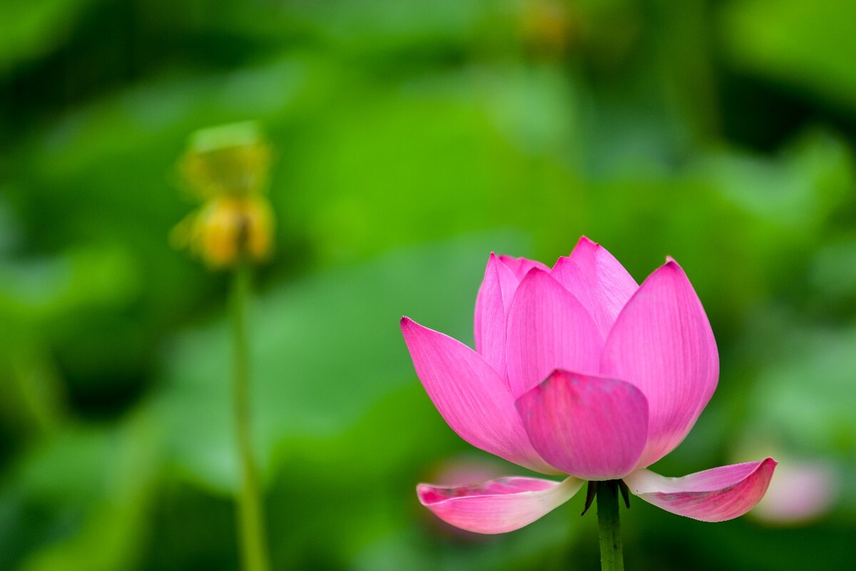44146<br />
每到一站,乘务员都得逐一的清检车票