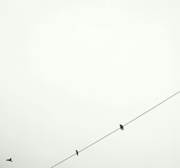 346956ab-da1a-4d03-910c-fa35344934e3