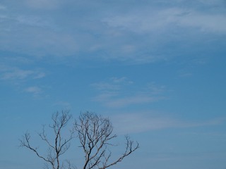 P5230201