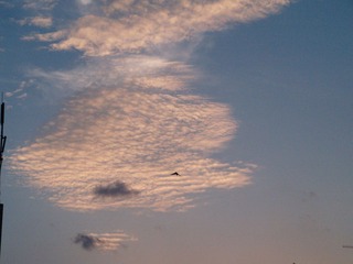 P6110431