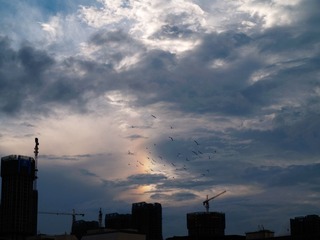 P6190444