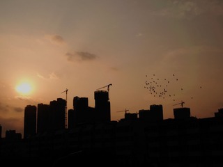 P6090413