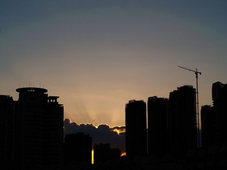 P7290558