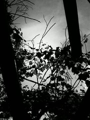 a5c0f09e-15dd-46c7-b7e9-985c3a44306e