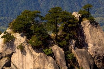 DSC_6807.jpg