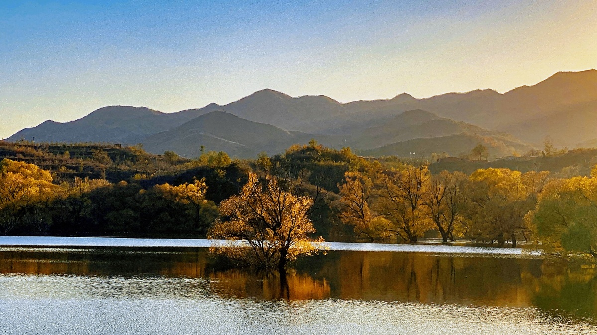 今日许亭水库手机随拍由于上游水库放水今年的许亭水库很多地方淹没在