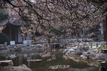 050D251E-A9CE-4C02-8FDC-2FC356F40E20/L0/001