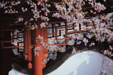 C40B752E-6B72-4366-8B31-180AF3C31D10/L0/001
