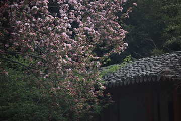 C7F0581B-748F-47DF-A363-2A8F04C1B959/L0/001
