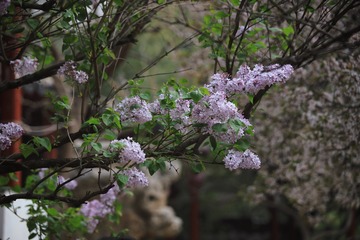 B405655C-E7BA-4729-928D-65CF8CFA324C/L0/001