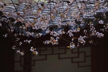 92123C14-D2DF-4F97-B4CB-3BDE5F094976/L0/001