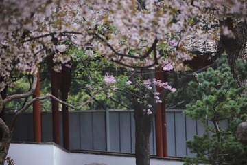 95C9153E-A4F5-4376-9119-2A1B01D402E4/L0/001