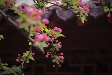 937C6173-E033-45DE-B51E-2DEA9C883617/L0/001