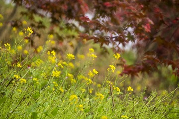 IMG_0830_