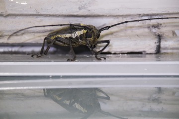 IMG_3202_
