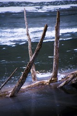 IMG_9772_