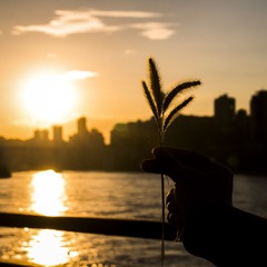 “IMG_8373”为智能对象-1