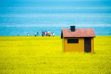 “IMG_9735”为智能对象-1