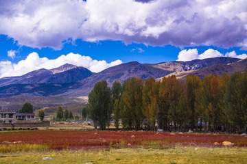 IMG_4118_
