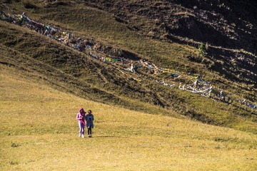 IMG_4306_