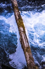 IMG_0040_