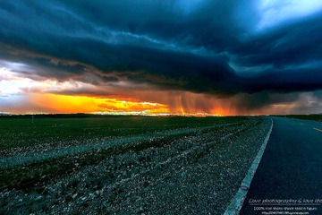 IMG_3529-1