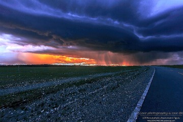 IMG_3530-1