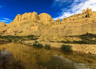 IMG_3646-1