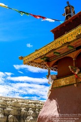 IMG_3689-1-1
