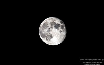 IMG_4015-1-1