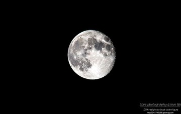 IMG_4015-1