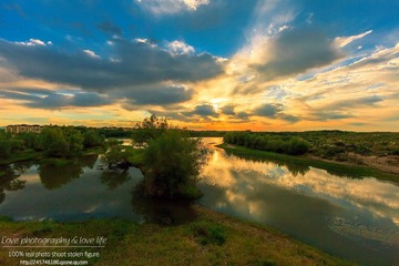 IMG_4915-1