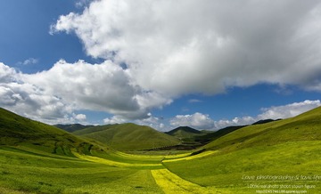 _MGL0564