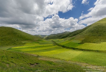 _MGL0651