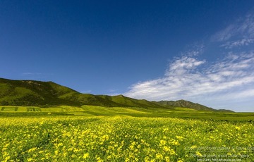 _MGL0724
