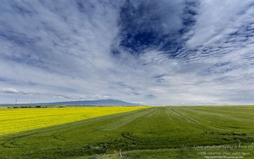 _MGL0809